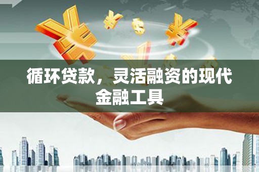 绥芬河循环贷款，灵活融资的现代金融工具