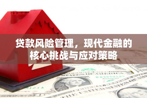 绥芬河贷款风险管理，现代金融的核心挑战与应对策略