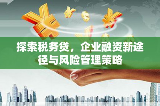 绥芬河探索税务贷，企业融资新途径与风险管理策略