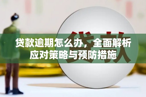 绥芬河贷款逾期怎么办，全面解析应对策略与预防措施
