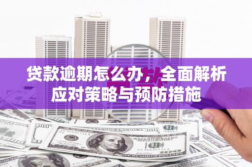 绥芬河贷款逾期怎么办，全面解析应对策略与预防措施