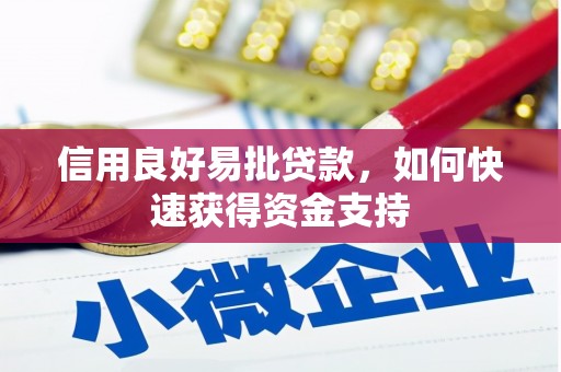 绥芬河信用良好易批贷款，如何快速获得资金支持
