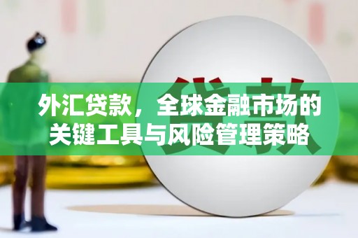 绥芬河外汇贷款，全球金融市场的关键工具与风险管理策略