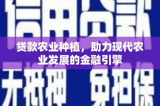 绥芬河贷款农业种植，助力现代农业发展的金融引擎