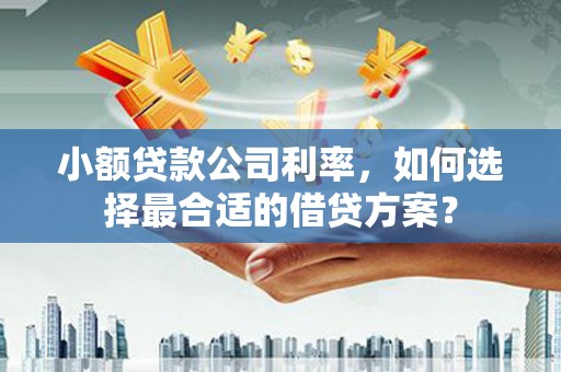 绥芬河小额贷款公司利率，如何选择最合适的借贷方案？