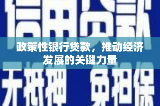 绥芬河政策性银行贷款，推动经济发展的关键力量