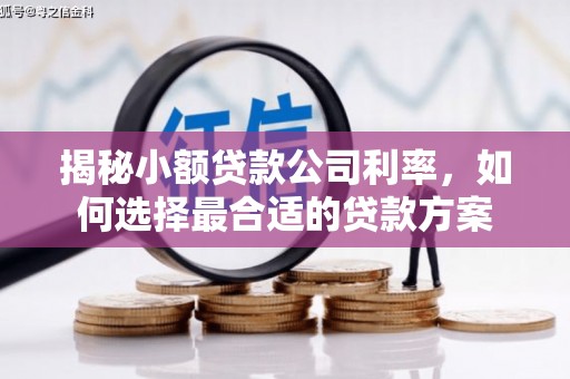 绥芬河揭秘小额贷款公司利率，如何选择最合适的贷款方案