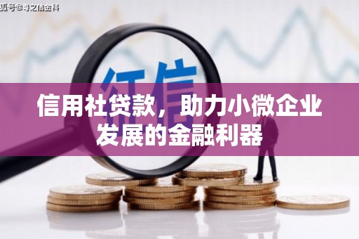 绥芬河信用社贷款，助力小微企业发展的金融利器