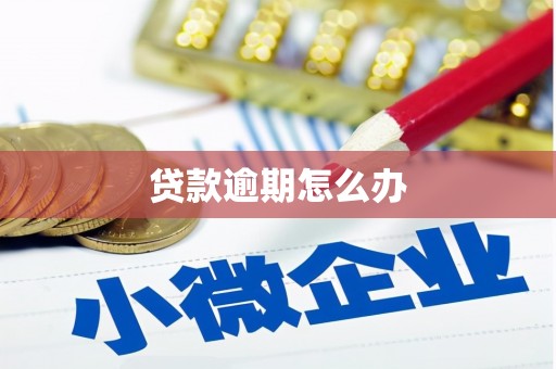 绥芬河贷款逾期怎么办