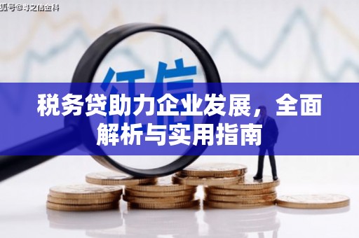 绥芬河税务贷助力企业发展，全面解析与实用指南