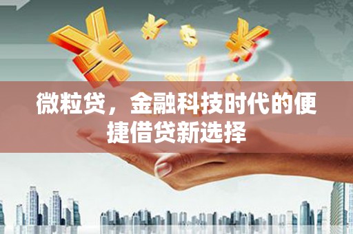 绥芬河微粒贷，金融科技时代的便捷借贷新选择