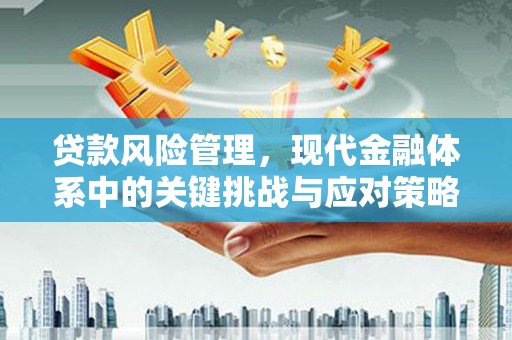 绥芬河贷款风险管理，现代金融体系中的关键挑战与应对策略