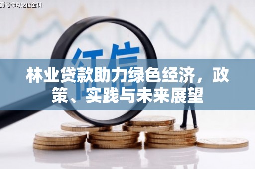 绥芬河林业贷款助力绿色经济，政策、实践与未来展望