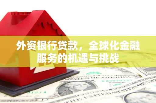 绥芬河外资银行贷款，全球化金融服务的机遇与挑战