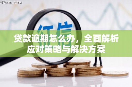 绥芬河贷款逾期怎么办，全面解析应对策略与解决方案