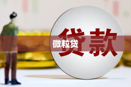 绥芬河微粒贷