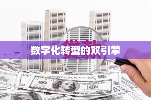 绥芬河数字化转型的双引擎
