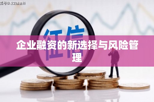 绥芬河企业融资的新选择与风险管理