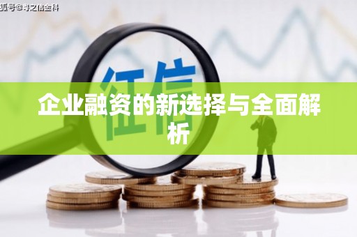 绥芬河企业融资的新选择与全面解析