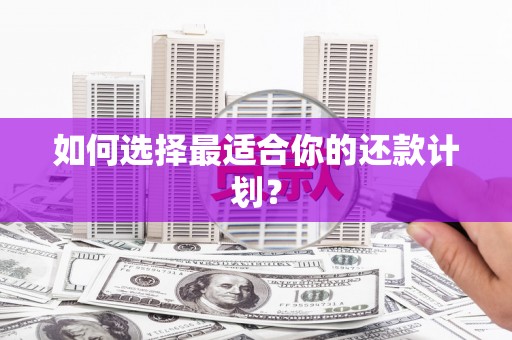 绥芬河如何选择最适合你的还款计划？