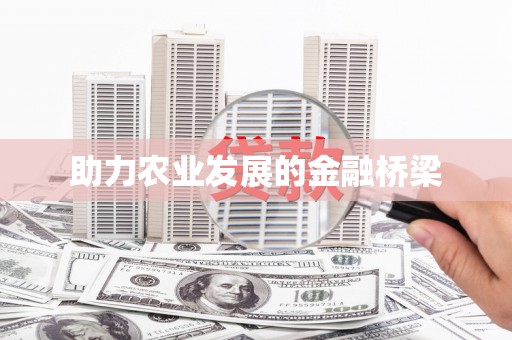 绥芬河助力农业发展的金融桥梁