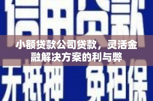 绥芬河小额贷款公司贷款，灵活金融解决方案的利与弊