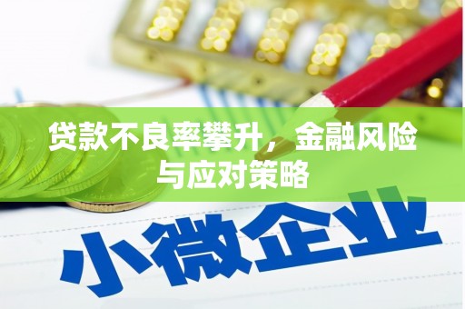 绥芬河贷款不良率攀升，金融风险与应对策略