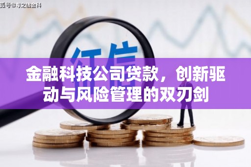 绥芬河金融科技公司贷款，创新驱动与风险管理的双刃剑